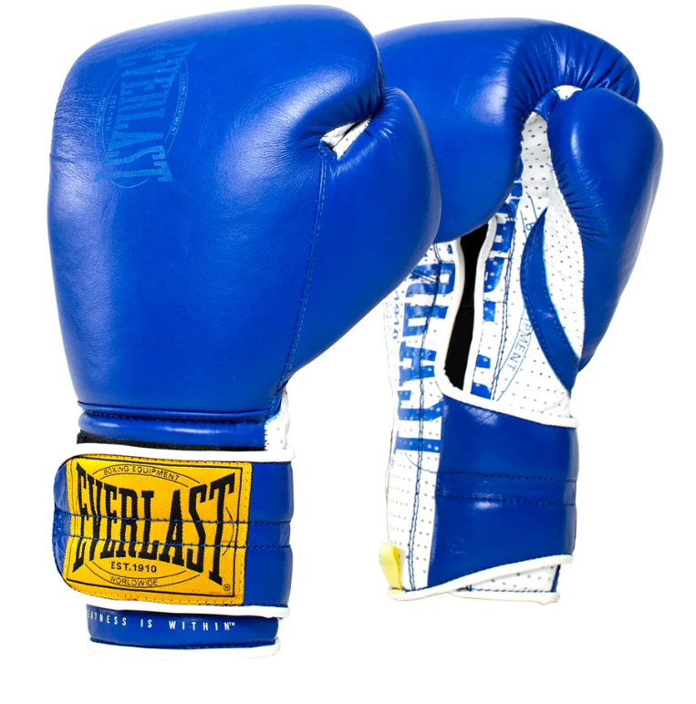 Everlast 1910 Sparring Hook & Laced Gloves