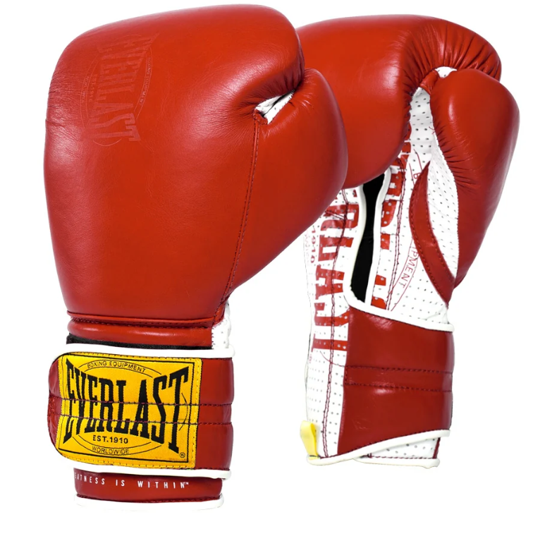 Everlast 1910 Sparring Hook & Laced Gloves
