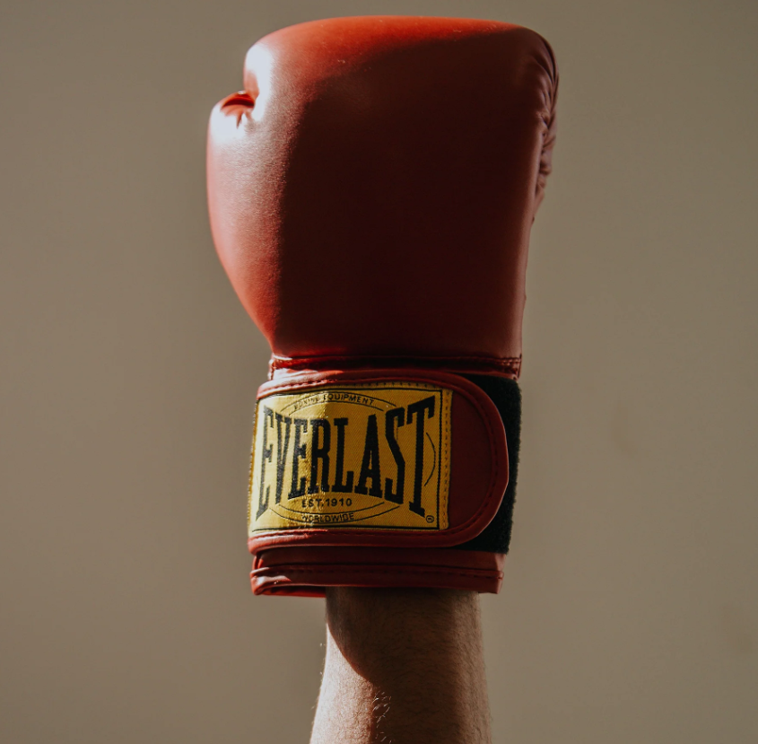 Everlast 1910 Classic Boxing Glove