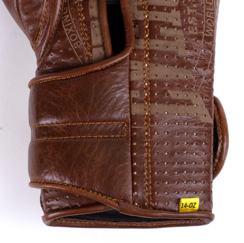 Everlast 1910 Sparring Hook & Laced Gloves