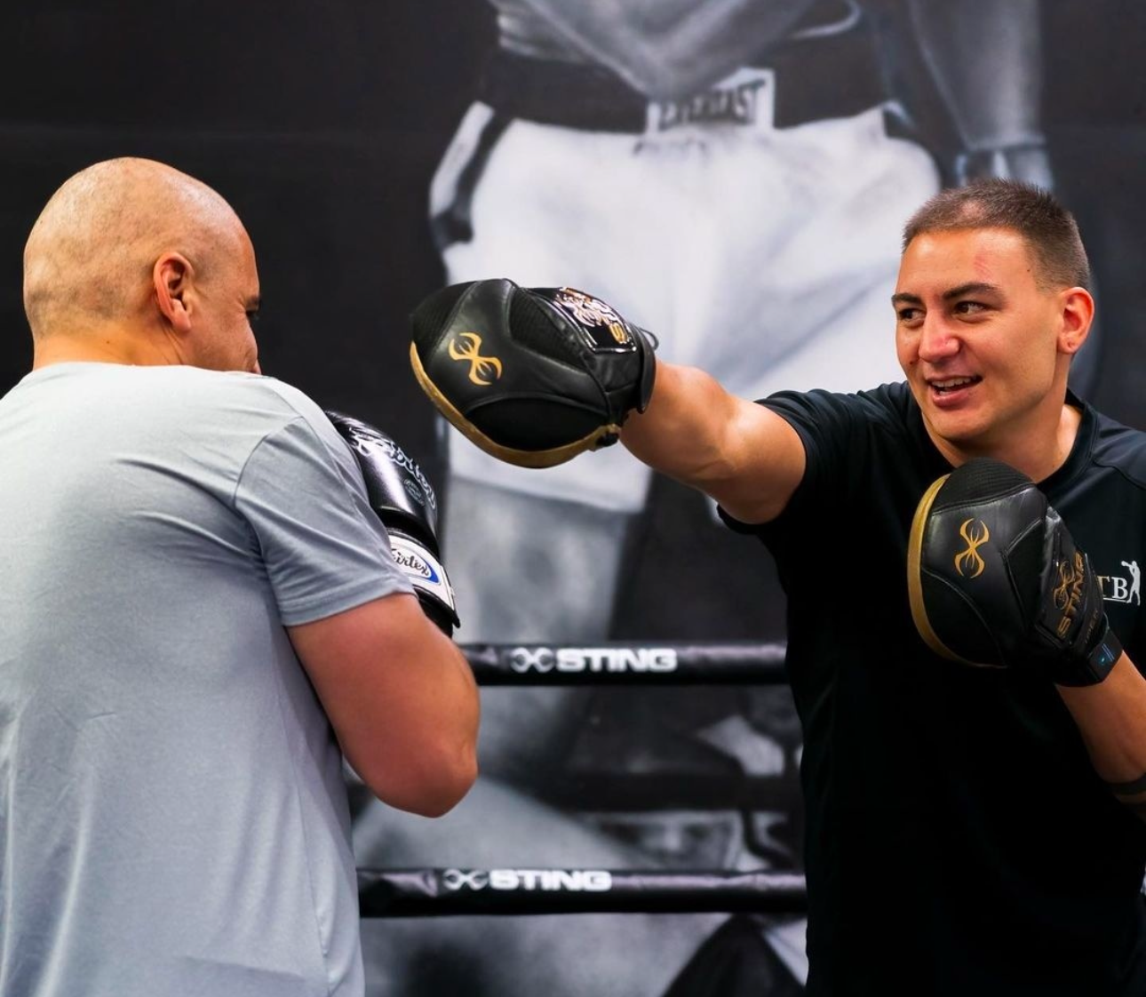 Sting Viper X Training Mitts