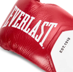 Everlast MX Elite Pro Fight Gloves