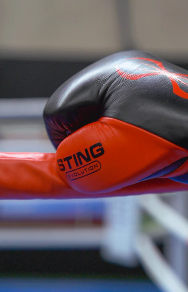 Sting Evolution Fight Gloves