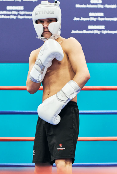 Sting Viper X Sparring Gloves