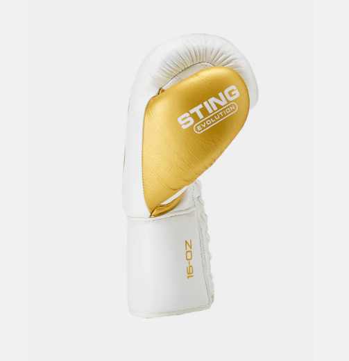 Sting Evolution Fight Gloves