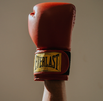 Everlast 1910 Classic Boxing Glove