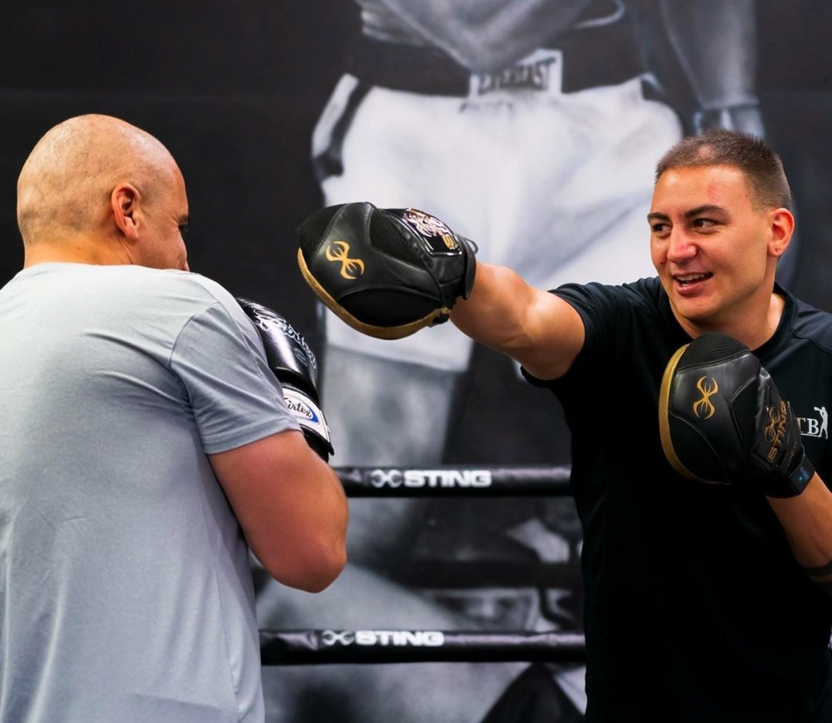 Sting Viper X Training Mitts