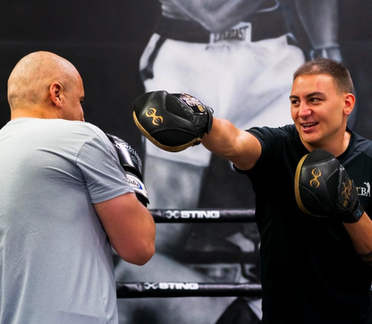 Sting Viper X Training Mitts