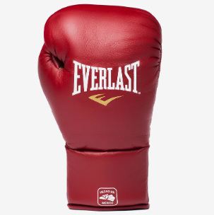 Everlast MX2 Fight Gloves