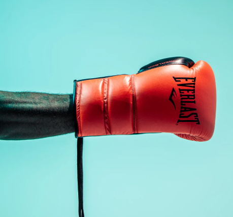 Everlast Powerlock 2 Pro Fight Gloves